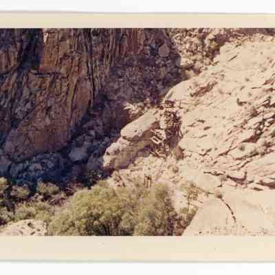 Print, Photographic