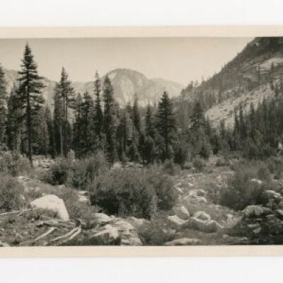 Print, Photographic