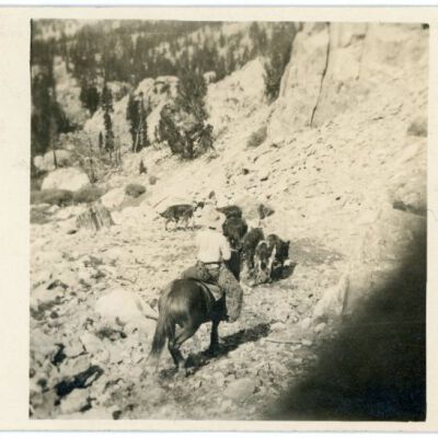 Print, Photographic