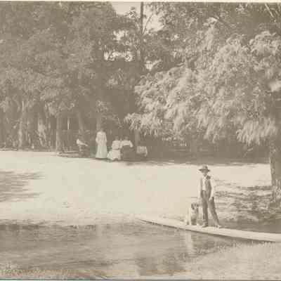 Postcard