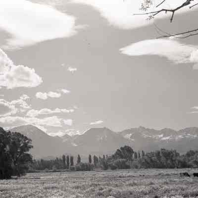 Print, Photographic
