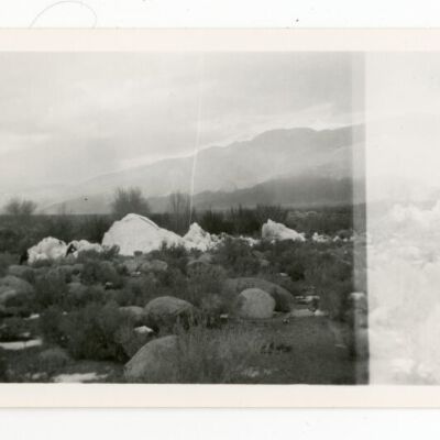 Print, Photographic
