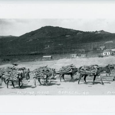 Packing Wood, Bodie Cal.