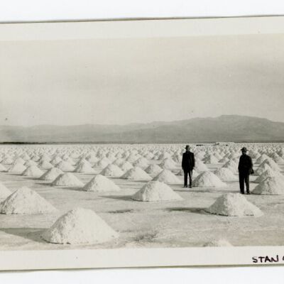 Print, Photographic
