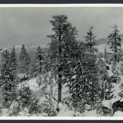 Print, Photographic