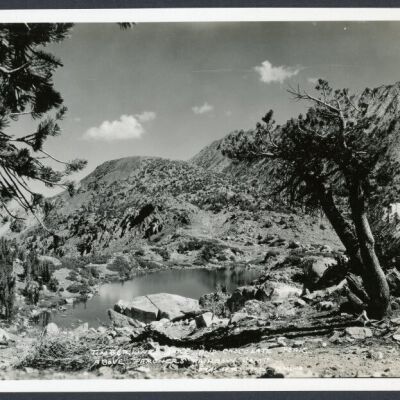 Print, Photographic