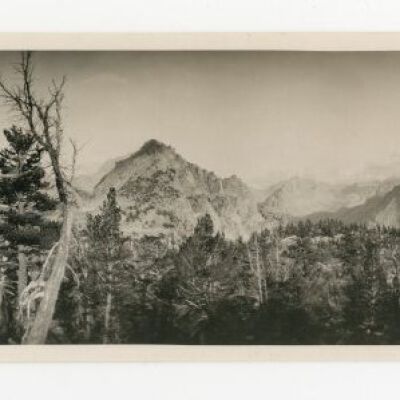 Print, Photographic