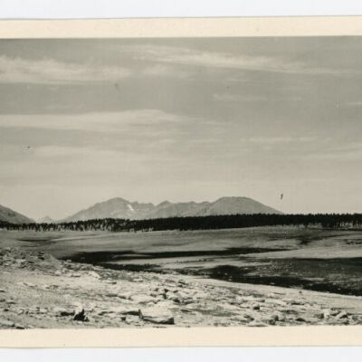 Print, Photographic