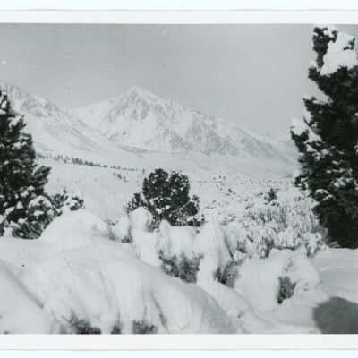Print, Photographic