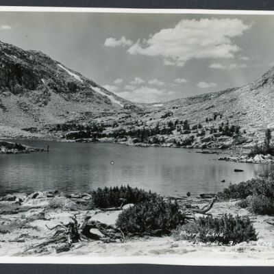 Print, Photographic