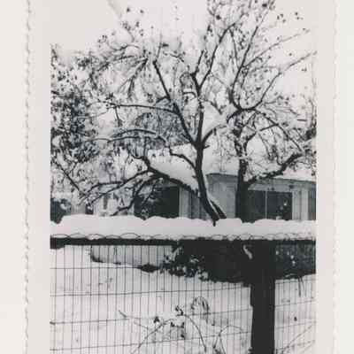 1991.13.1.39