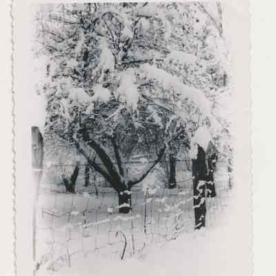 1991.13.1.40