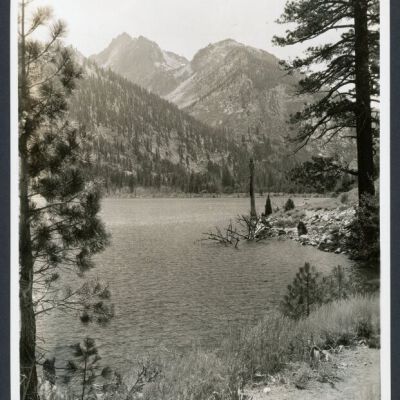 Print, Photographic