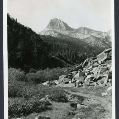 Print, Photographic