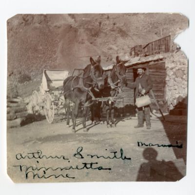 Print, Photographic