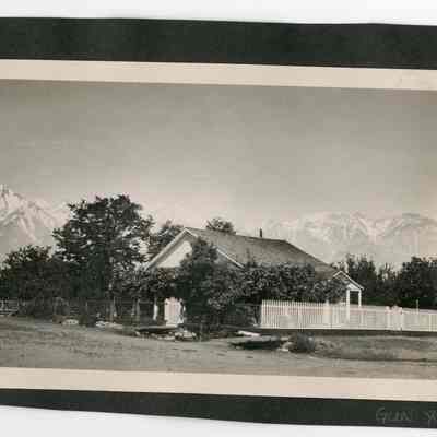 Print, Photographic