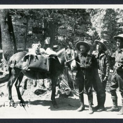 Print, Photographic