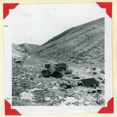 Print, Photographic