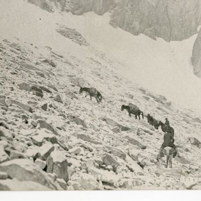 Mt. Whitney Trail