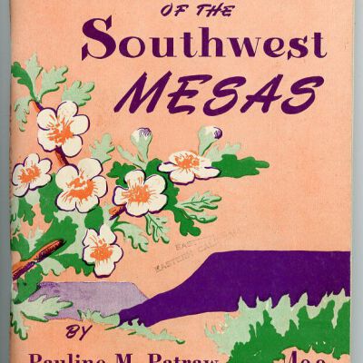 Southwest Monuments Association Popular Series No. 5: Flowers of the Southwest Mesas