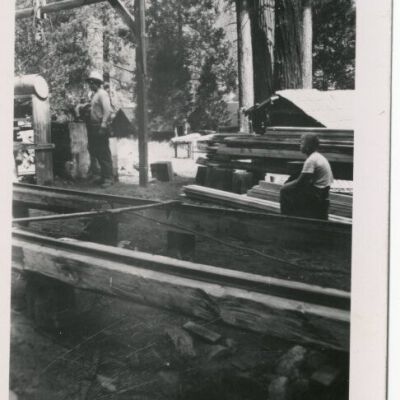 Print, Photographic