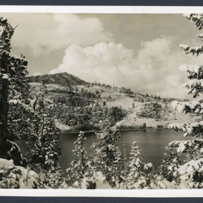 Print, Photographic