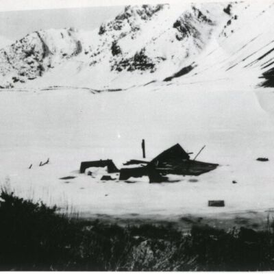 Print, Photographic