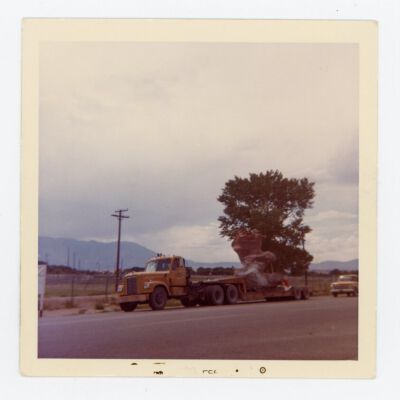Print, Photographic