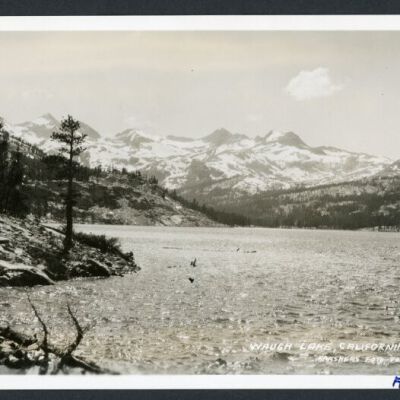 Print, Photographic