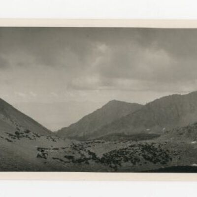 Print, Photographic