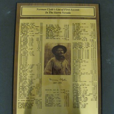 Plaque