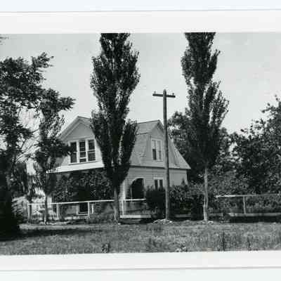 Print, Photographic