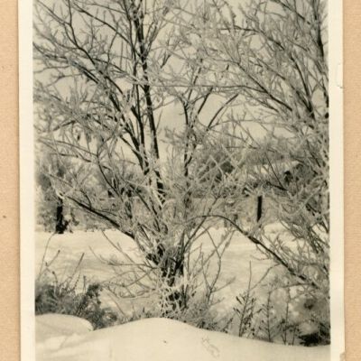 Print, Photographic