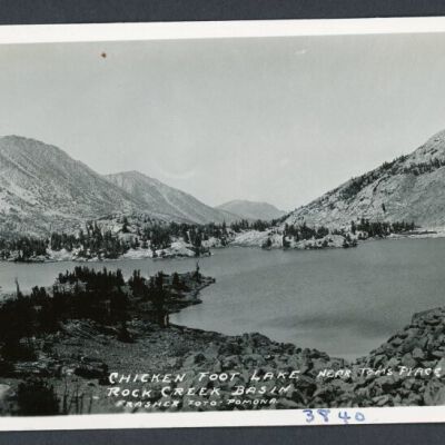 Print, Photographic