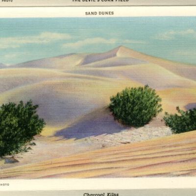 Sand Dunes
