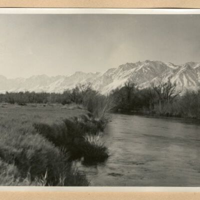 Print, Photographic