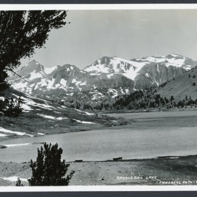 Print, Photographic