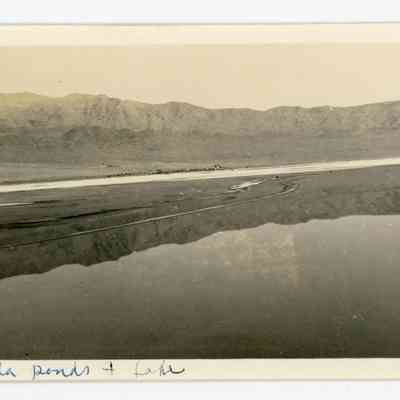 Print, Photographic