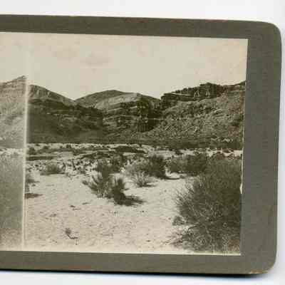 Stereograph