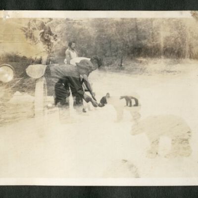 Print, Photographic