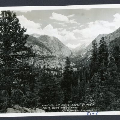 Print, Photographic