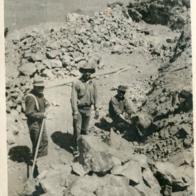 Print, Photographic