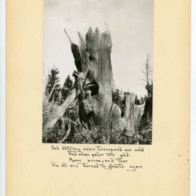 Print, Photographic