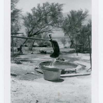 Print, Photographic