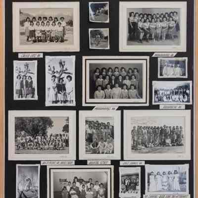 Panel, Display