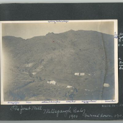 Print, Photographic
