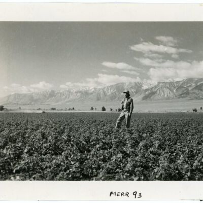 Print, Photographic