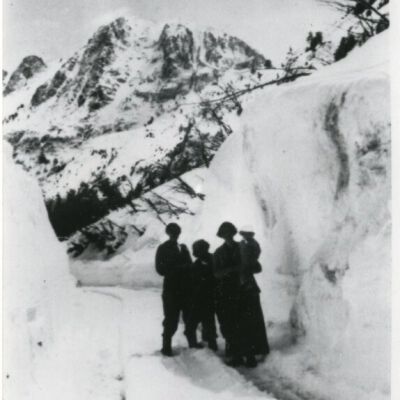 Print, Photographic