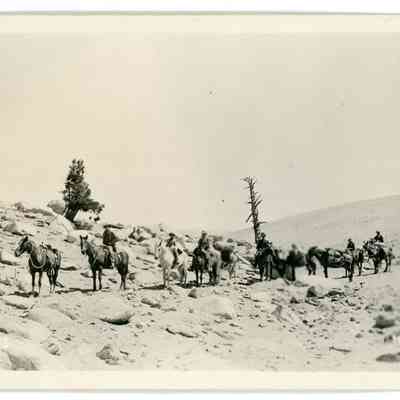 Siberian Pass