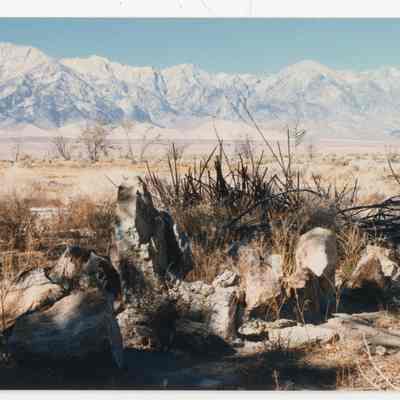Print, Photographic